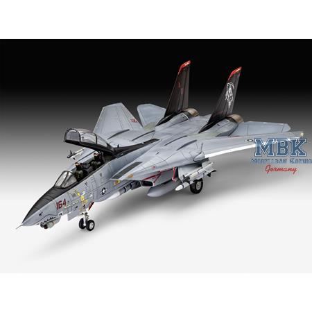 Grumman F-14D Super Tomcat