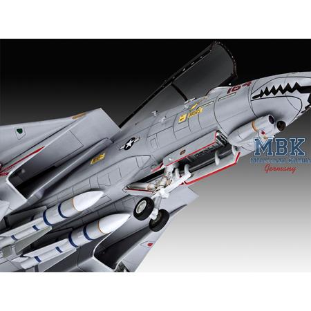 Grumman F-14D Super Tomcat
