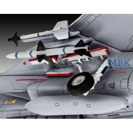 Grumman F-14D Super Tomcat