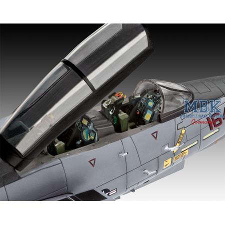 Grumman F-14D Super Tomcat