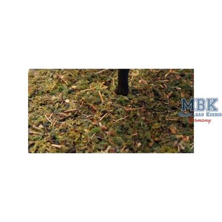 Forest-in-a-Pot - Green Forest