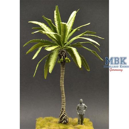 Large Palm tree w/ coconuts - 25cm