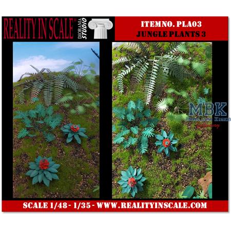 Jungle Plants 03 / Dschungelpflanzen