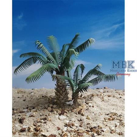 Young Date Palm set