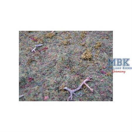 Nature-in-a-Pot - Wildgras Meadow Scatter