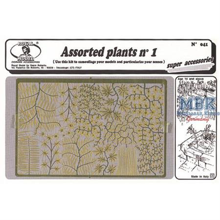 Assorted Plants #1