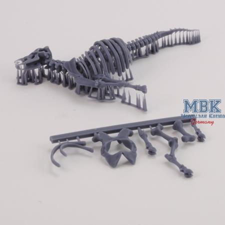 Cow skeleton n.3 (1:35)