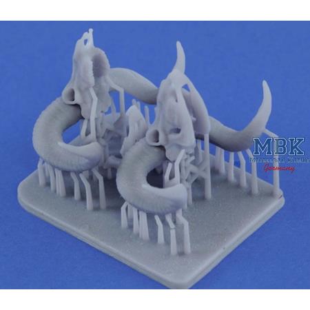 Mufflon Schädel / Skulls 1:35  3d printed