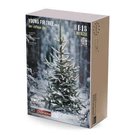 Young Fir Tree 1/16