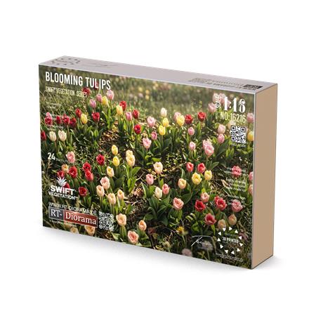 Blooming Tulips / Tulpen 1/16
