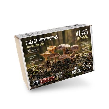 Forest Mushrooms / Waldpilze