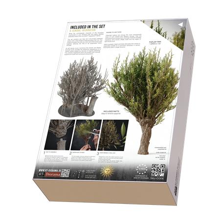Pollarded Willow / Kopfweide No.3 (250 mm)