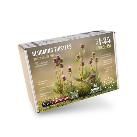 Blooming Thistles / Blühende Disteln