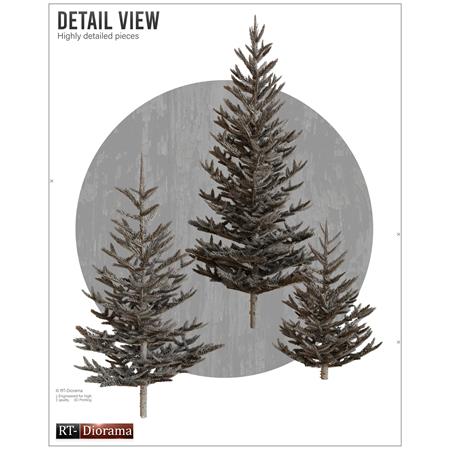 Young Fir Trees Set / Junge Tannen (40, 70, 90 mm)