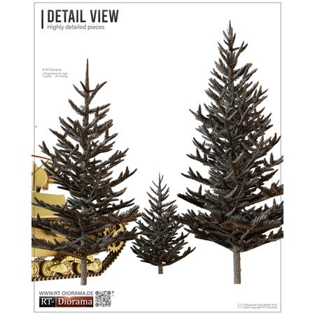 Young Fir Trees Set / Junge Tannen (40, 70, 90 mm)