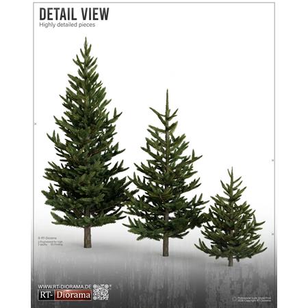 Young Fir Trees Set / Junge Tannen (40, 70, 90 mm)