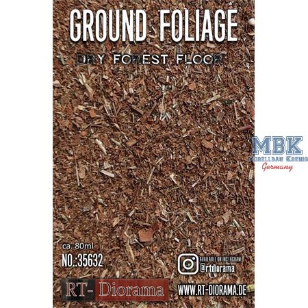 Ground Foliage: Dry forest floor