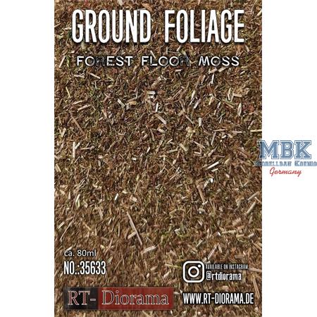 Ground Foliage: Forest floor moss