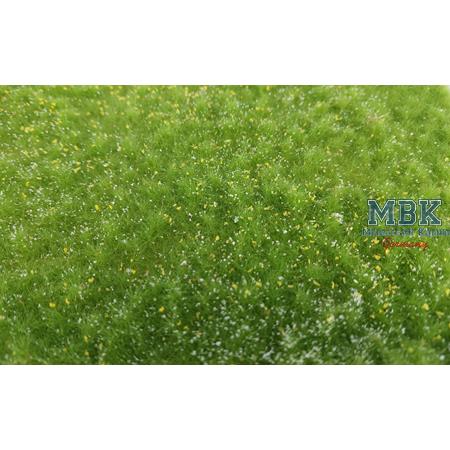 Naturwiese, lang, Frühling