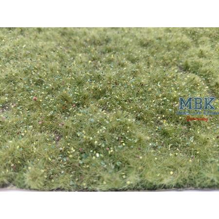 Wildwuchs, hoch, Herbst