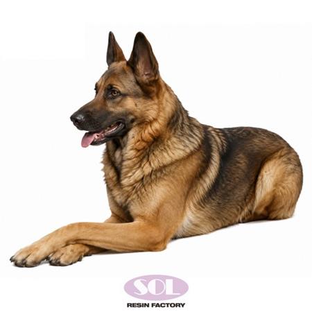 German Shepherd lying down pose (1:16)