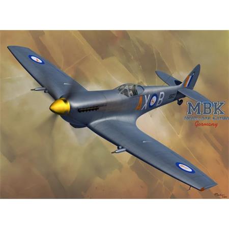 Spitfire XVIe in international services