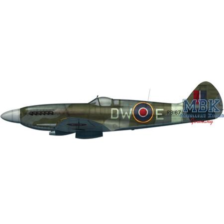 Supermarine Spitfire Mk.XIV 3 kits in 1 set