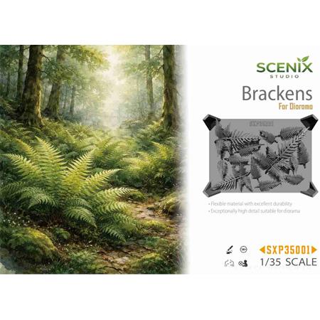 Bracken / Farn