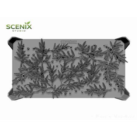 Fir tree branches / Tannenzweige