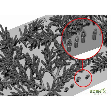 Fir tree branches / Tannenzweige
