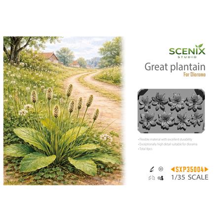 Great Plantain / Wegerich