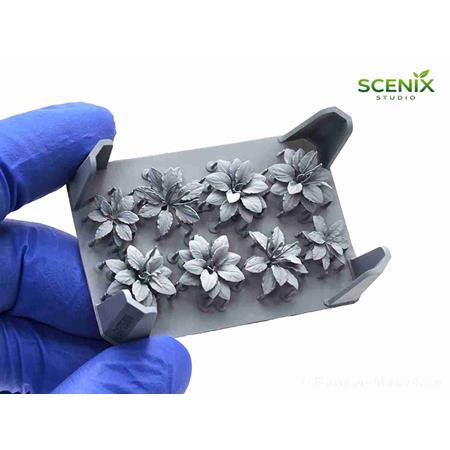 Great Plantain / Wegerich