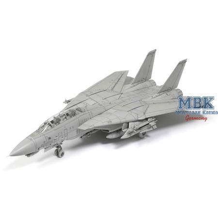 Grumman F-14D Tomcat (1:72)