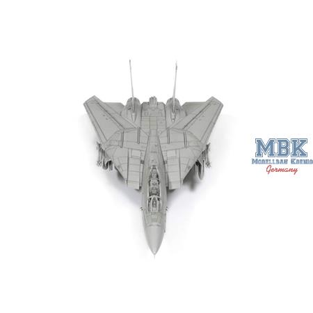Grumman F-14D Tomcat (1:72)