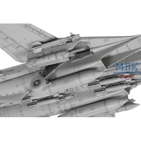 Grumman F-14D Tomcat (1:72)