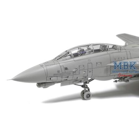 Grumman F-14D Tomcat (1:72)