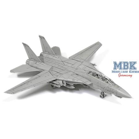 Grumman F-14D Tomcat (1:72)