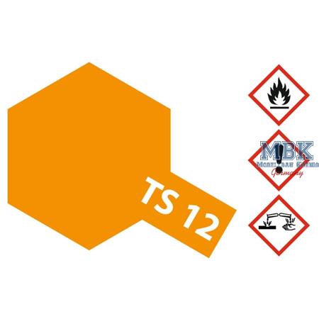 TS12 Orange ,  glänzend - Spraydose 100ml