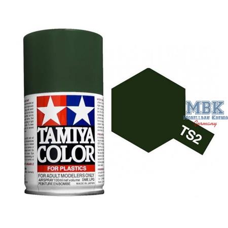 TS2 Dark Green, matt - Spraydose 100ml