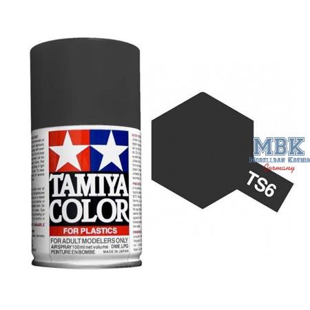 TS6 Black, matt - Spraydose 100ml