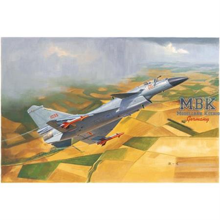 Chinese J-10B Fighter