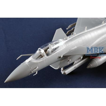 PAF J-10CE Multi-Role Fighter & IAF Rafale 2 in 1