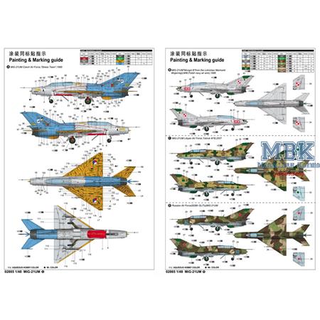 Mikoyan-Gurevich MiG-21UM Fighter
