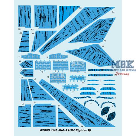 Mikoyan-Gurevich MiG-21UM Fighter