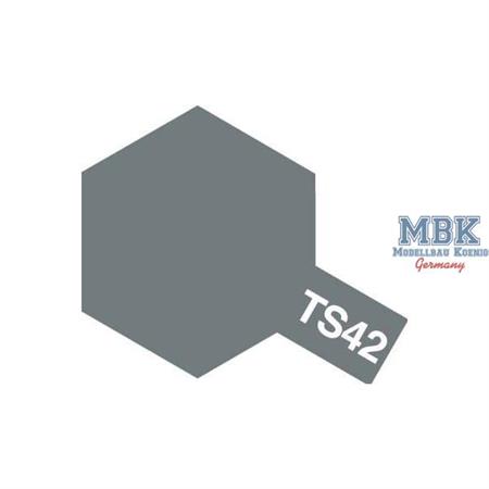 TS42 Gunmetal-hell seidenmatt - Spraydose 100ml