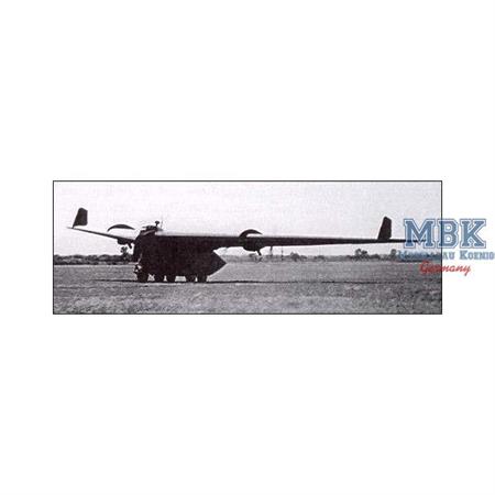 Horten IAe.38  Nurflügel-Transportflugzeug