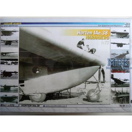 Horten IAe.38  Nurflügel-Transportflugzeug