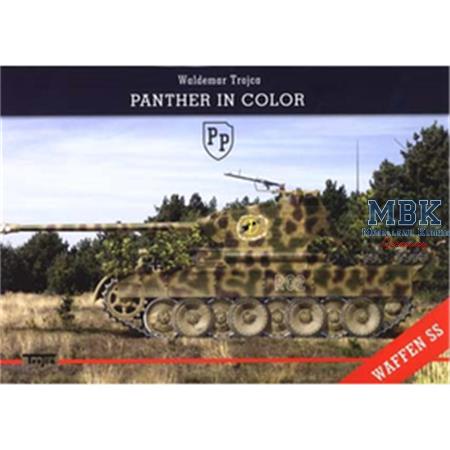 Panther Ausf. D in Color