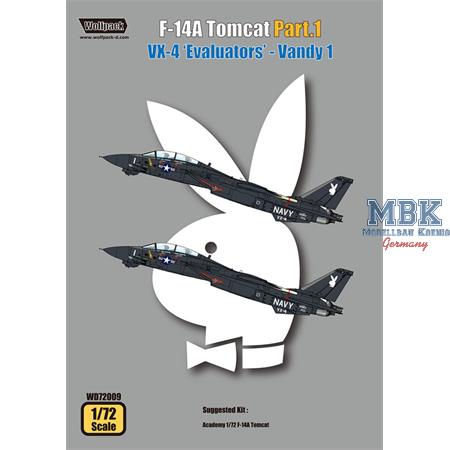 F-14A Tomcat Part.1 VX-4 'Evaluators' - Vandy 1