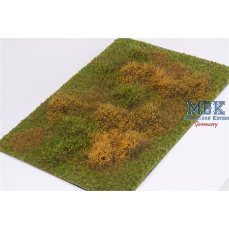 Grasmatte wildes Gebüsch/wild shruberry - Herbst